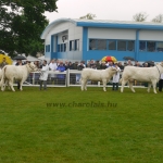 WCC Nagy-Britannia 2012 - DZ